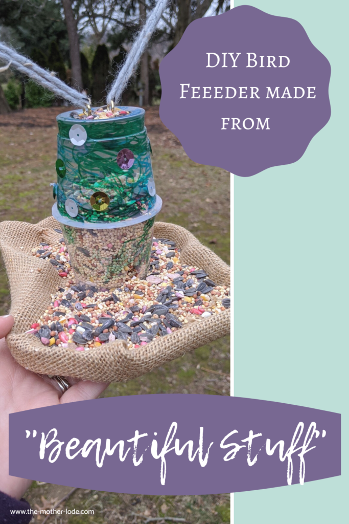 DIY BIRD FEEDER PIN