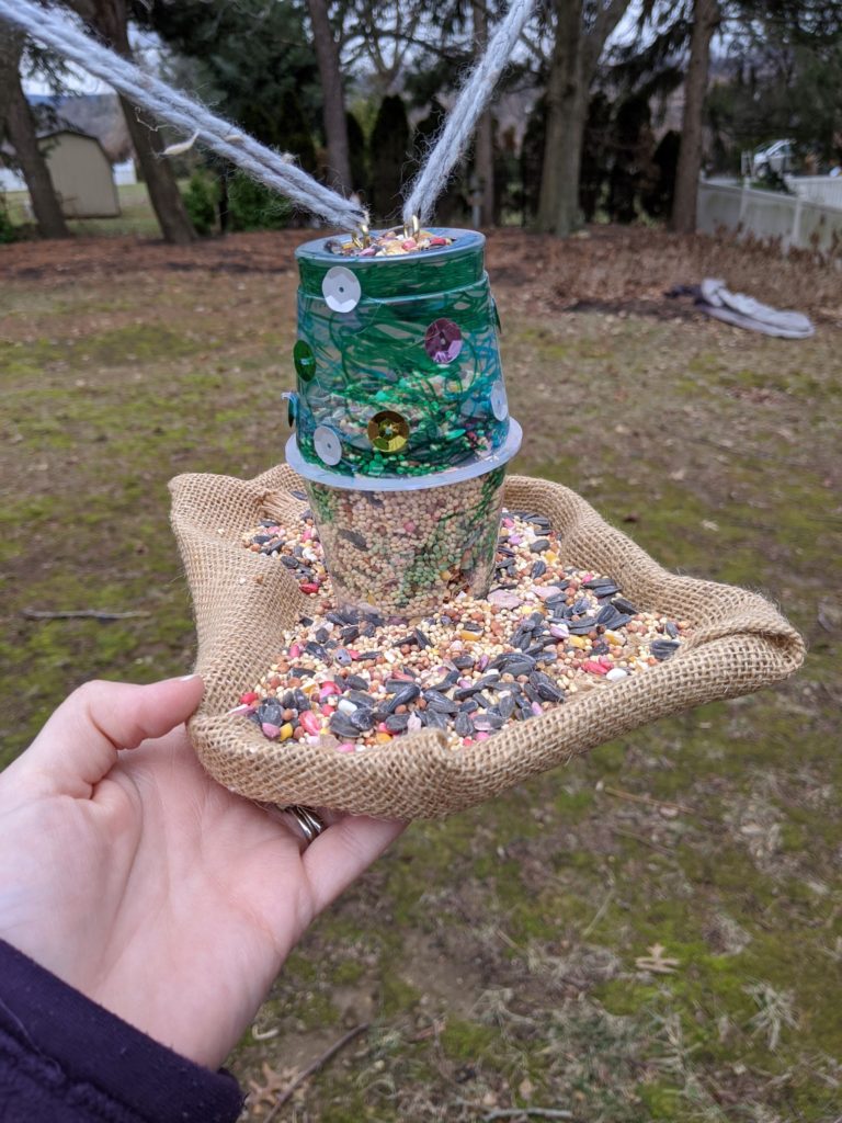 DIY bird feeder